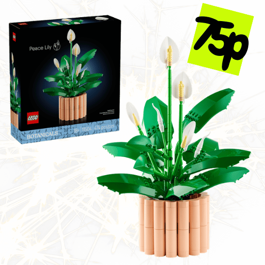 Peace Lily SET-11504