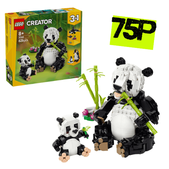 Wild Animals: Panda Family SET-31165