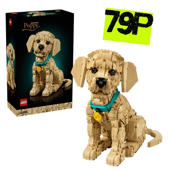 Golden Retriever Puppy set- 11384
