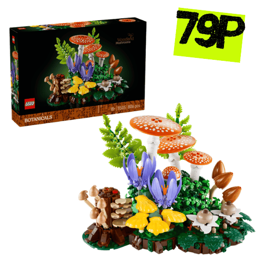 Woodland Mushrooms SET-11505