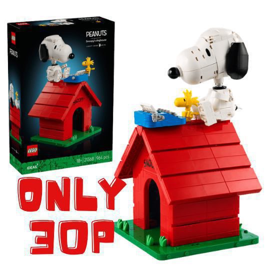 Peanuts: Snoopy's Doghouse set-21369