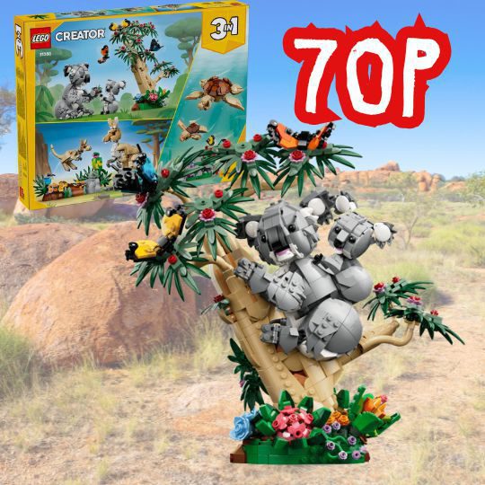 Wild Animals: Family of Koalas SET-31388