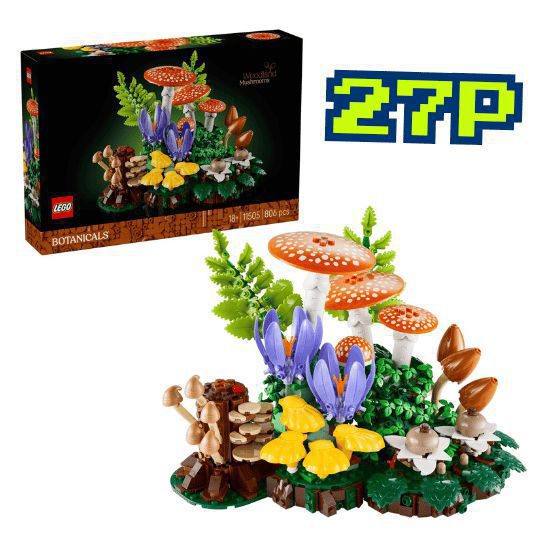 Woodland Mushrooms - 11505