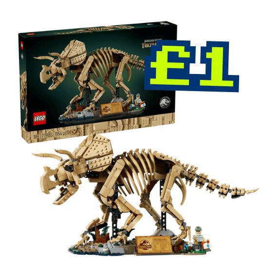 Dinosaur Fossils: Triceratops