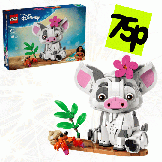 Pua the Pig LEGO Set