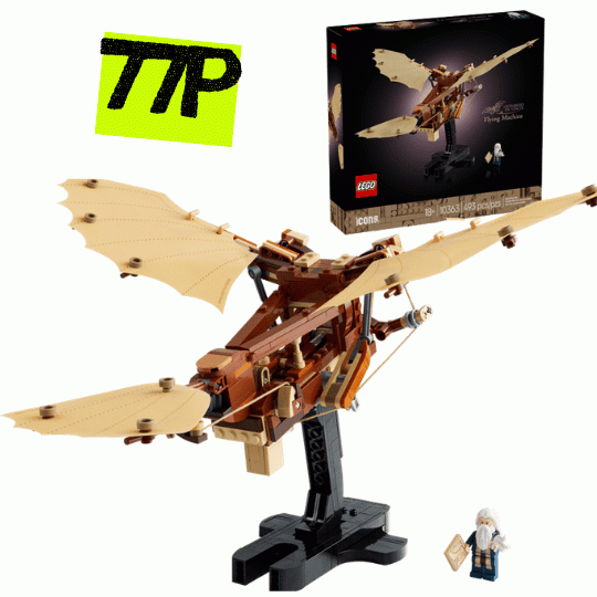 Leonardo da Vinci's Flying Machine sedt-10363