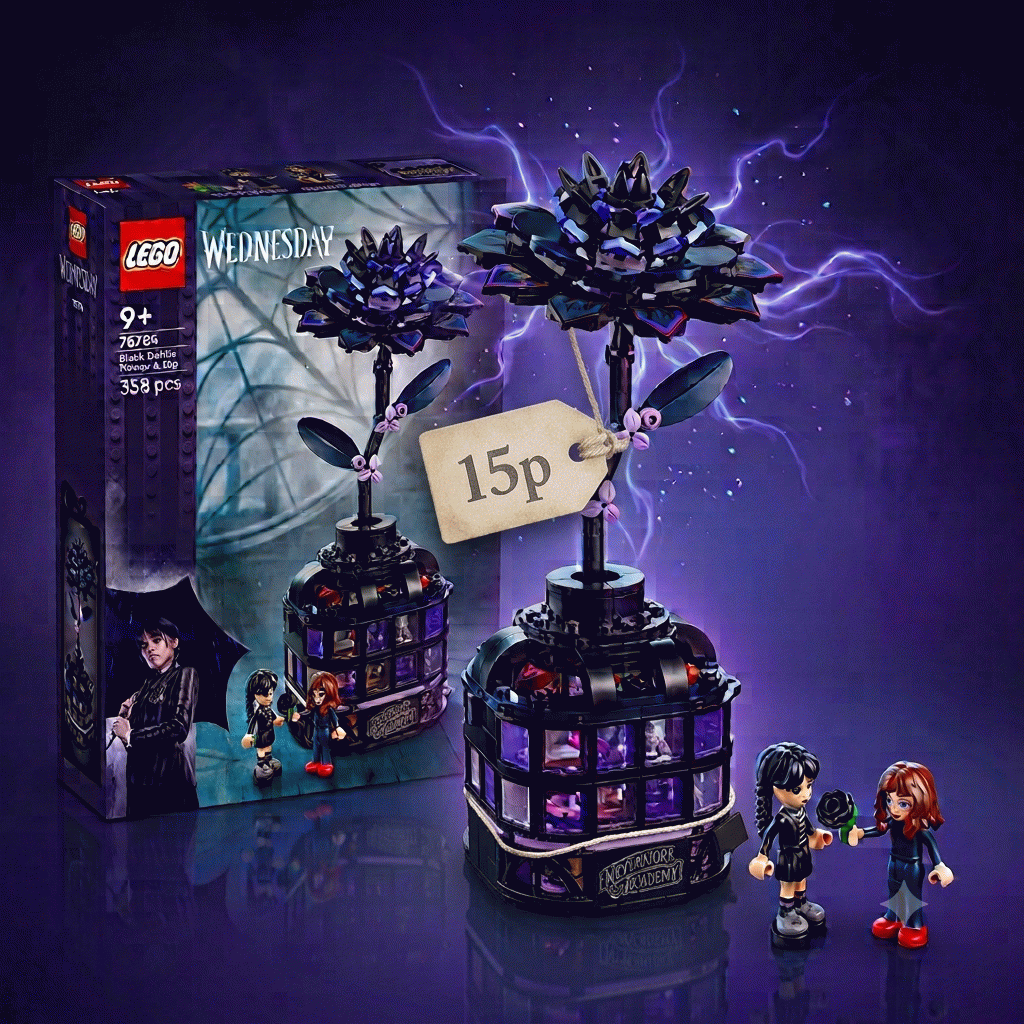 Black Dahlia Flower SET-76784