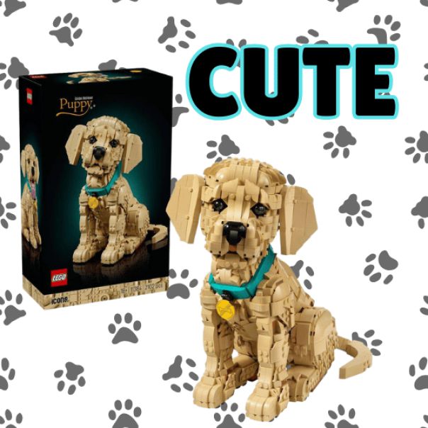 O WOW WIN THE GOLDEN RETRIEVER PUP