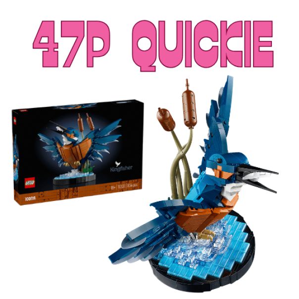 Kingfisher Bird - QUICK FIRE - 47p
