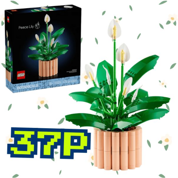 PEACE LILY BOTANICAL COLLECTION
