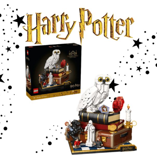 WIN THE NEW SORCERERS STONE COLLECTORS EDITION